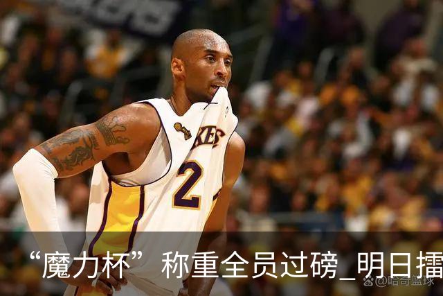 “魔力杯”称重全员过磅 明日擂台龙争虎斗