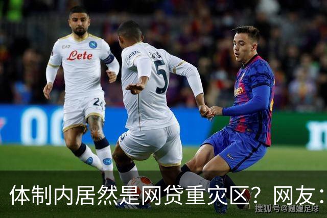 体制内居然是网贷重灾区？网友：铁饭碗反而踩大坑
