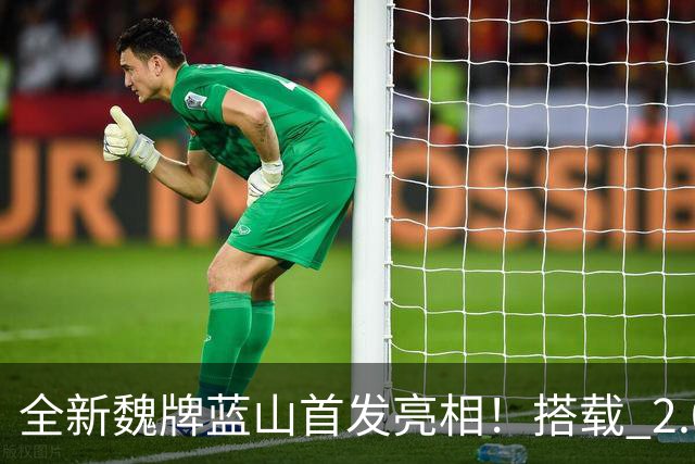 全新魏牌蓝山首发亮相！搭载 2.0T 发动机，预计将于年内完成上市