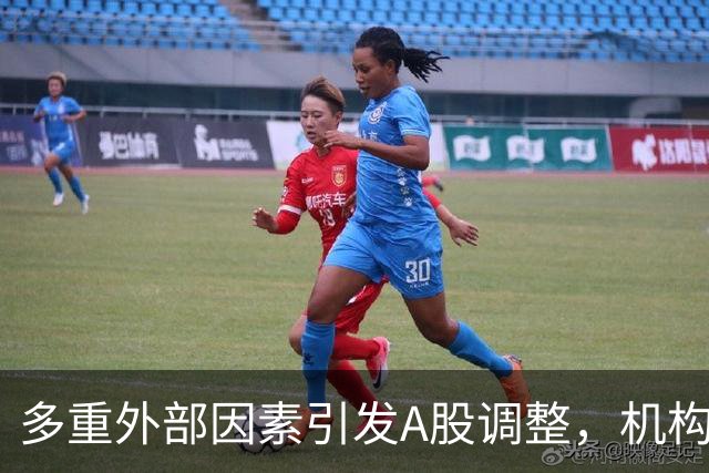 多重外部因素引发A股调整，机构热议：基本面支撑中长期配置价值