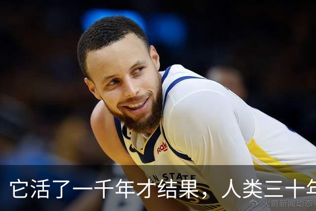 它活了一千年才结果，人类三十年砍光，消失的秘密至今无人能解