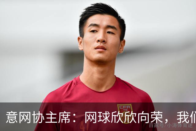 意网协主席：网球欣欣向荣，我们有机会超越意大利的世界杯冠军数