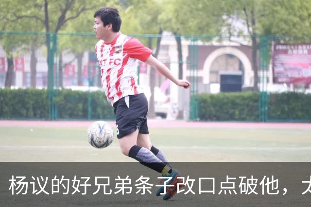 杨议的好兄弟条子改口点破他，太尴尬了