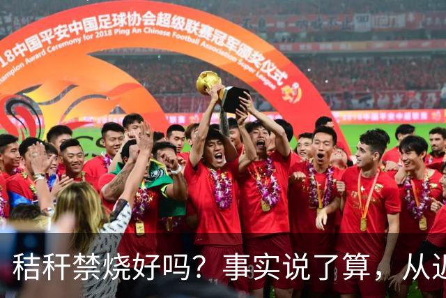 秸秆禁烧好吗？事实说了算，从近年蚯蚓鸟类和蛇类数量就可看出来