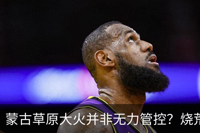 蒙古草原大火并非无力管控？烧荒能增加土壤肥力，是真的吗？长远看有什么影响？