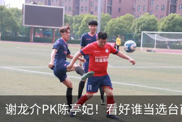 谢龙介PK陈亭妃！看好谁当选台南市长？网络投票结果超意外