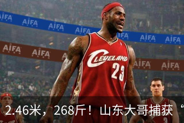 2.46米，268斤！山东大哥捕获“鲅鱼王”：常见鲅鱼仅几斤到十几斤，已被水产公司收购，将做成鲅鱼水饺